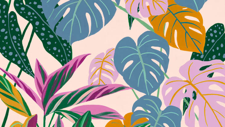 Zoom wallpaper deals